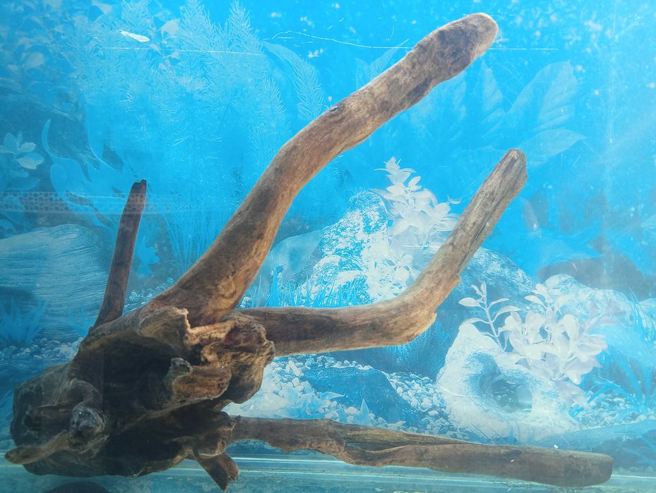 Коряга, топняк, декор в аквариум, тераріум середнього і більше розміру