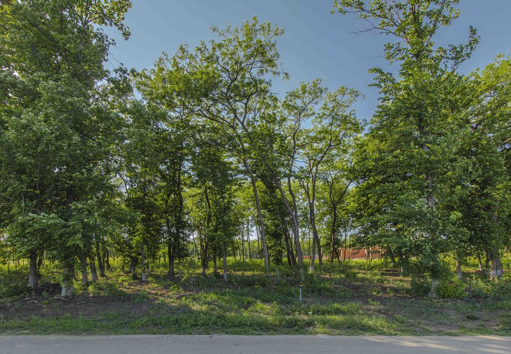 Продам ділянку 15 соток в котеджному селищі Шале-Грааль