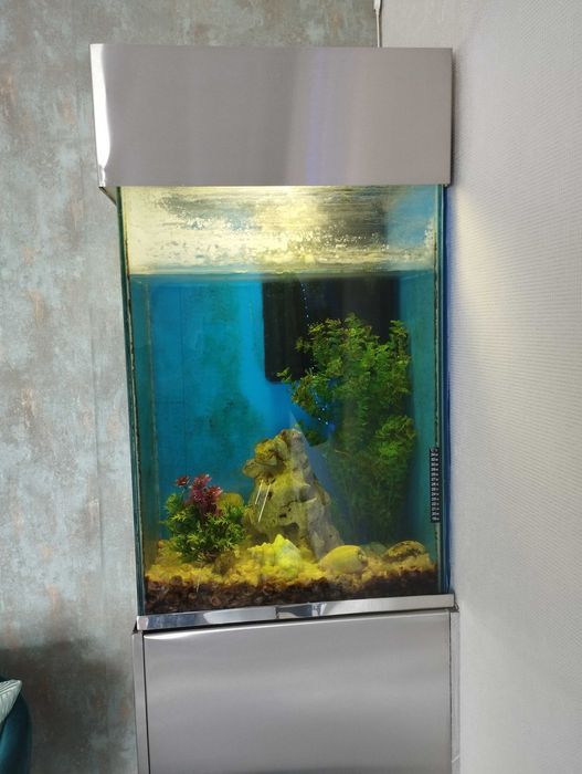 Aquario grande com movél e acessorios