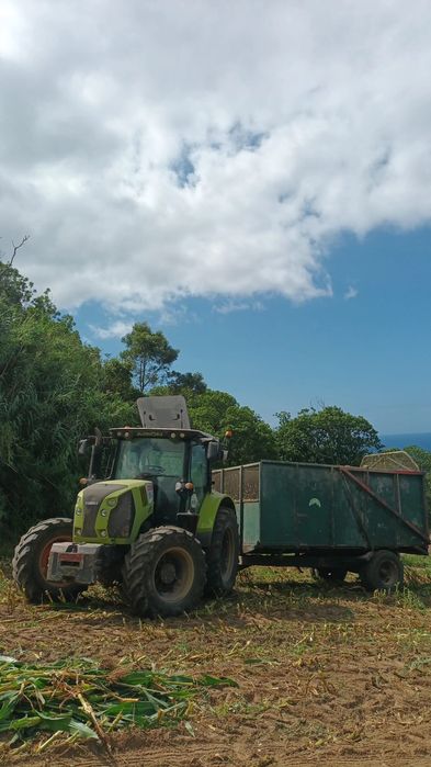 Vendo Claas arion 530