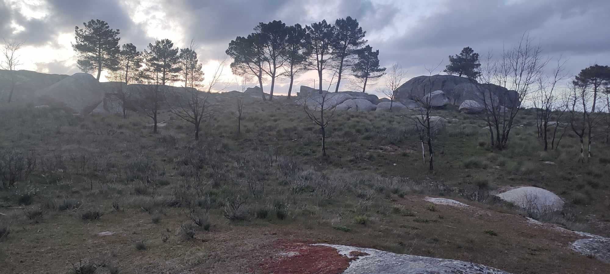 Terreno bem Localizado