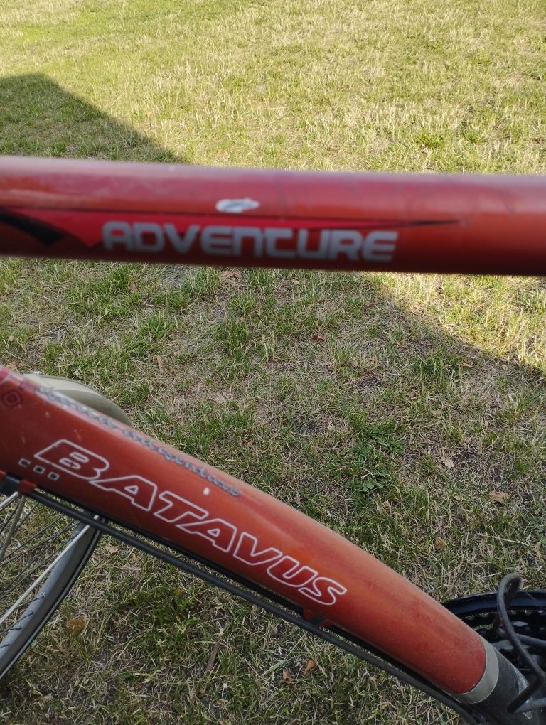 Rower męski Batavus