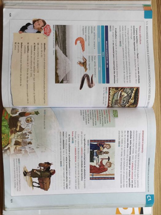 Manual Escolar Viagens no Novo Tempo História 5ºano