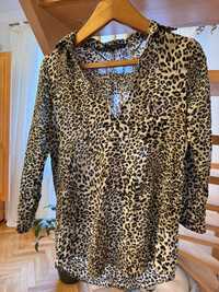 Блузка сорочка леопардовий принт в поло стилі