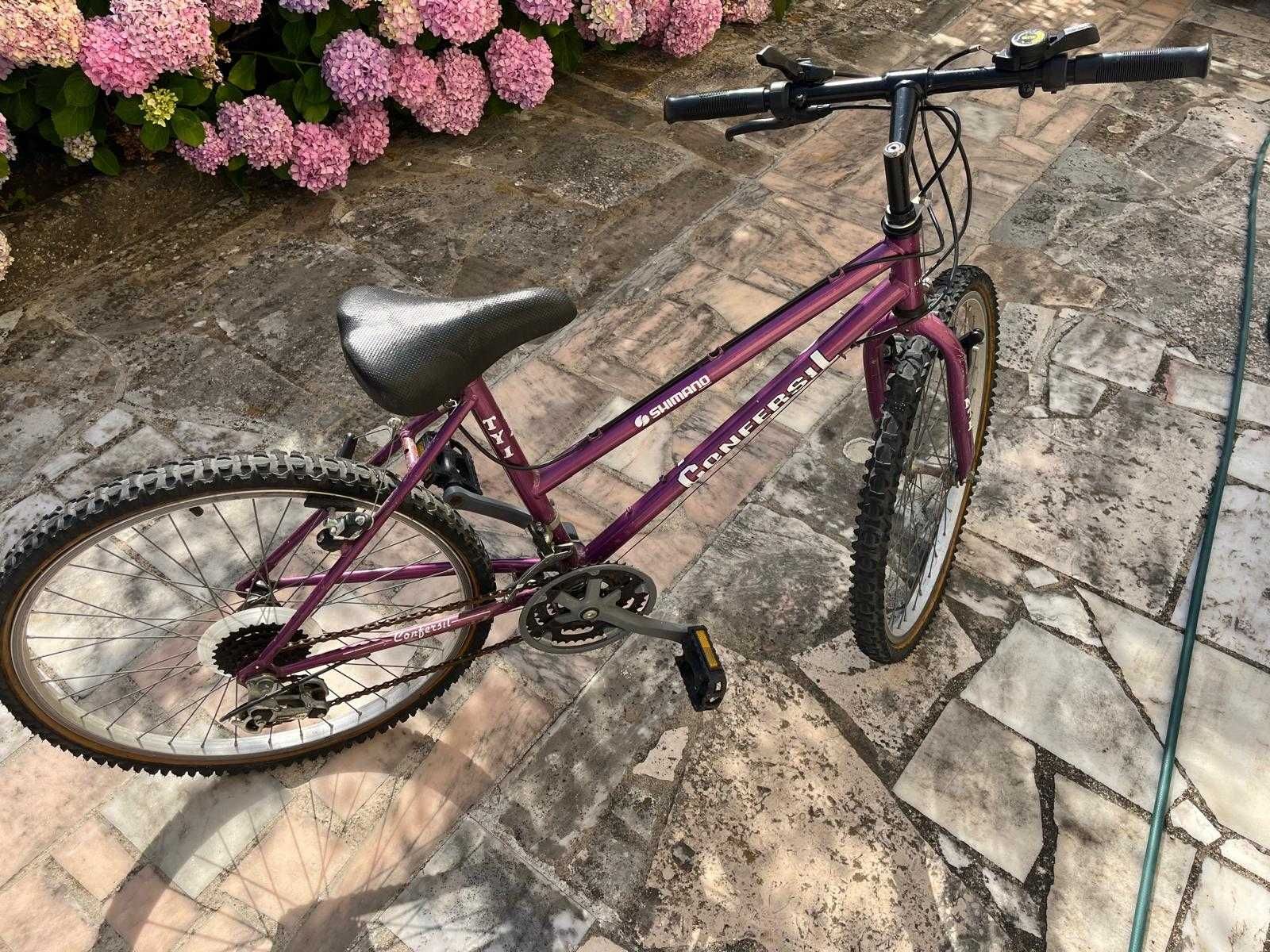 1Bicicleta Shimano Confersil Roda 24