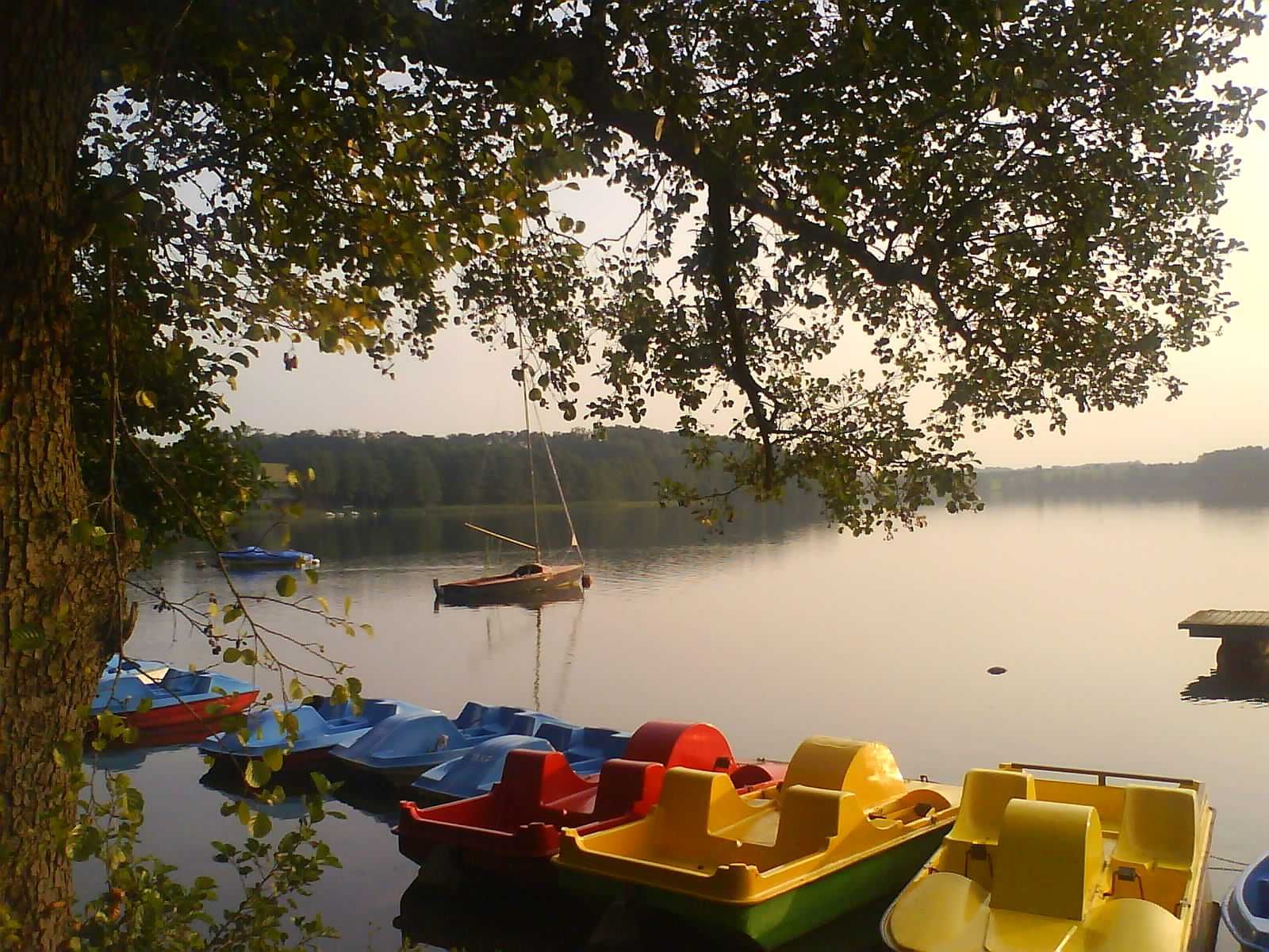 Domek - 60 m do plaży -  nad jeziorem Jaroszewskim - PUSZCZA NOTECKA