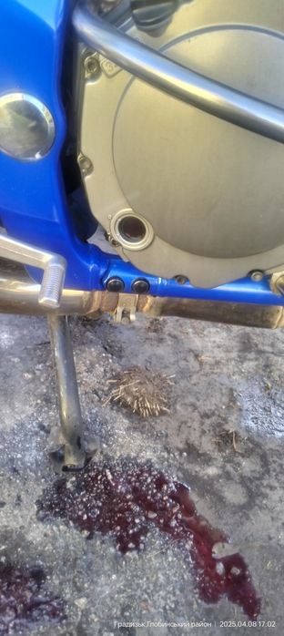 Сузуки бандит gsf600s