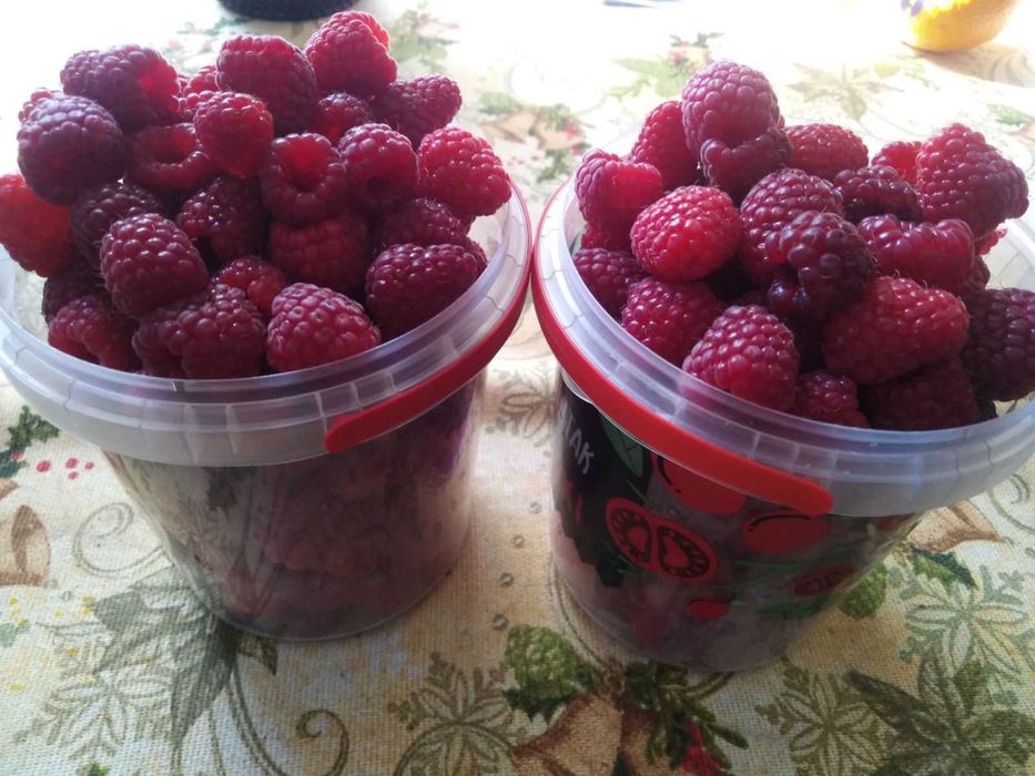 Осіння солодка малина і малина мяо- мяо