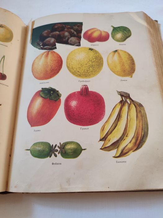 Кулінарія 1955 року
