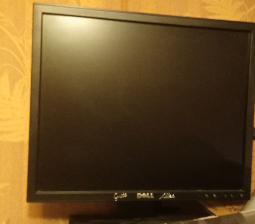 Monitor LCD Dell E196FPF 19 " 1024 x 768 px TN