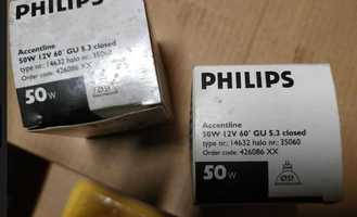 Halogenki Philips 12V 50W GU5.3 (komplet 2 sztuki)