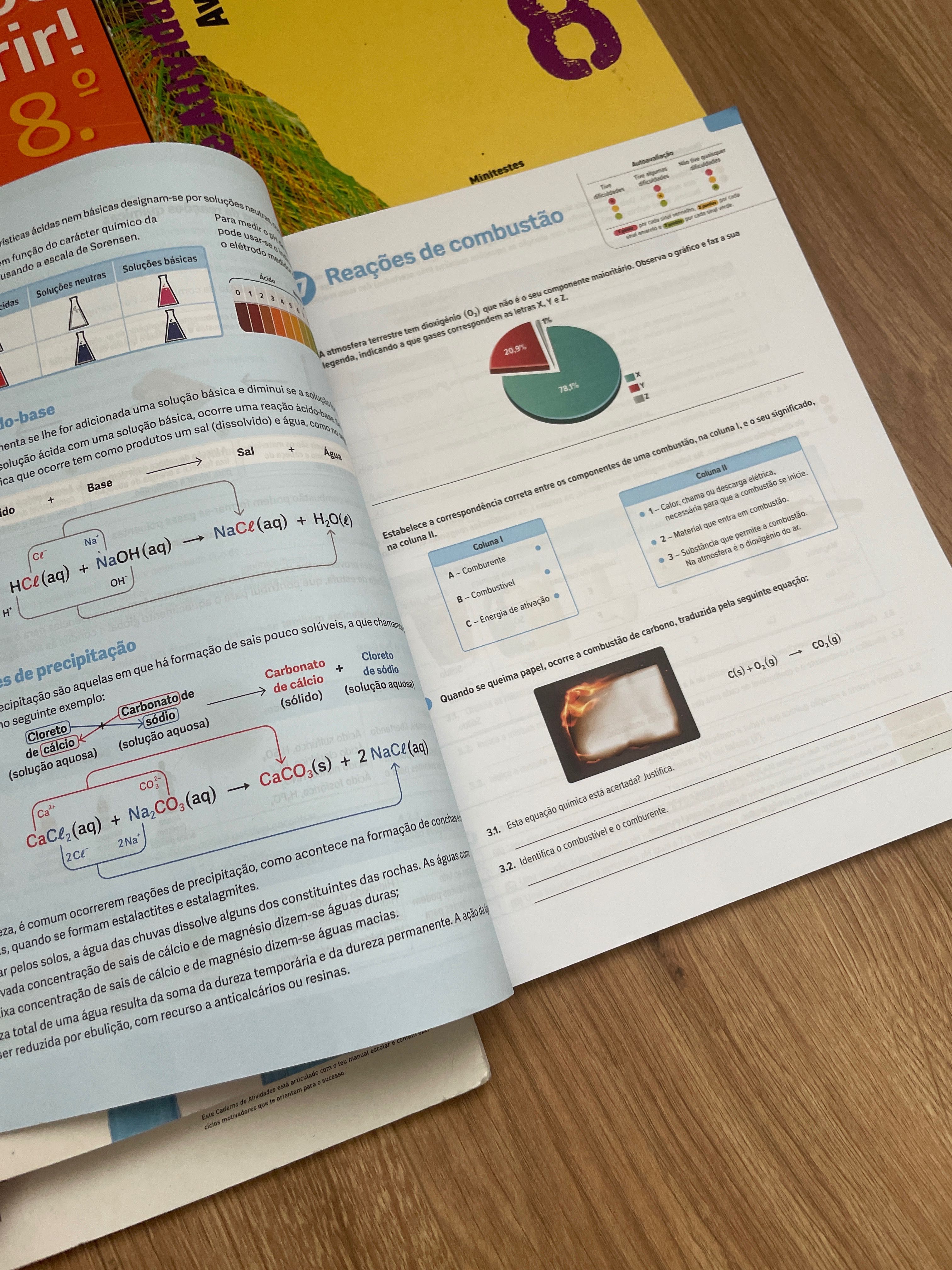 Conjunto caderno arividades 8