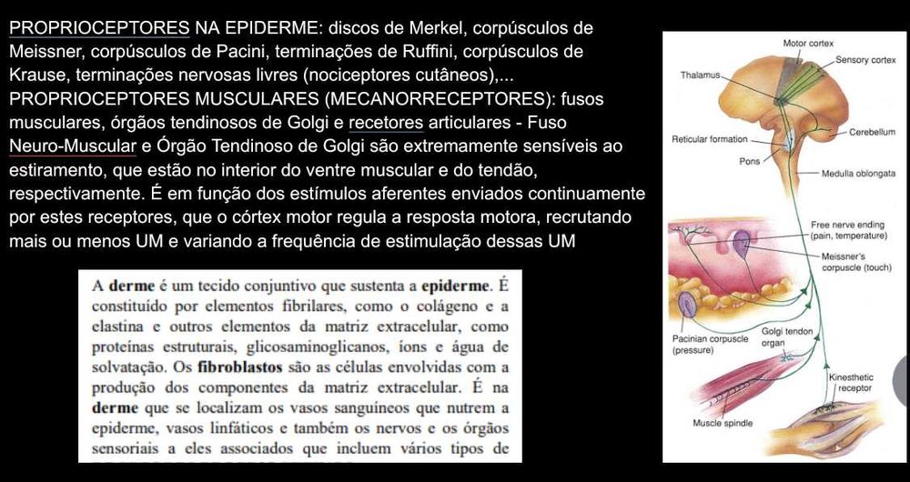 Resumos Completos de Fisiologia Geral