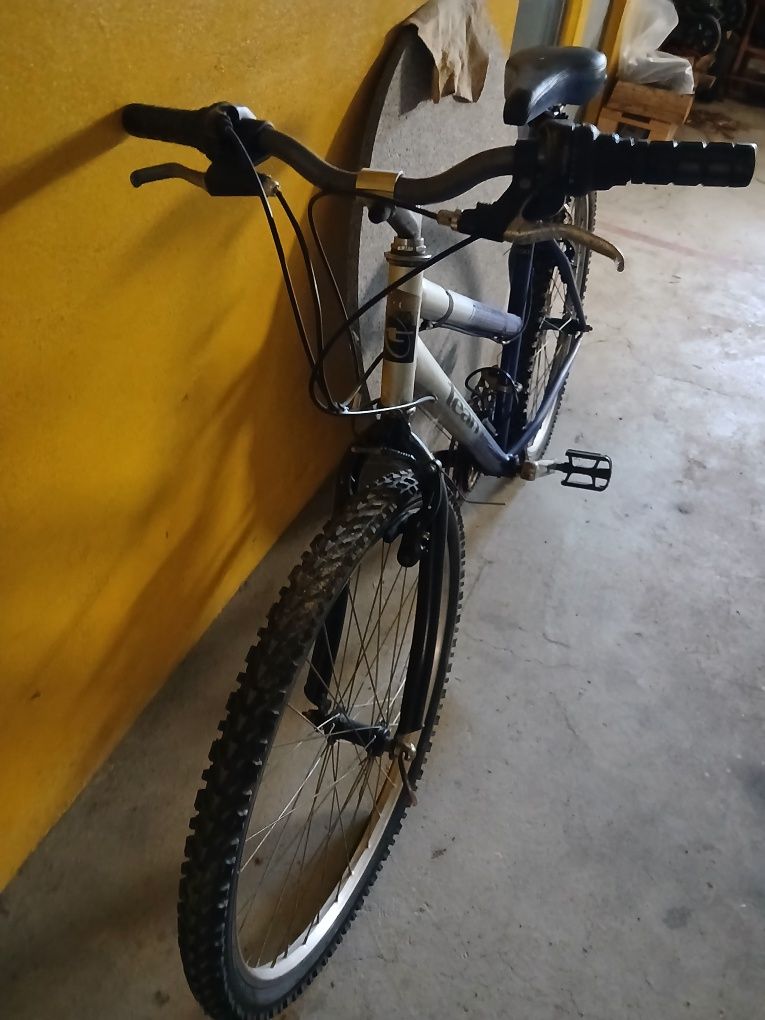 Bicicleta de montanha