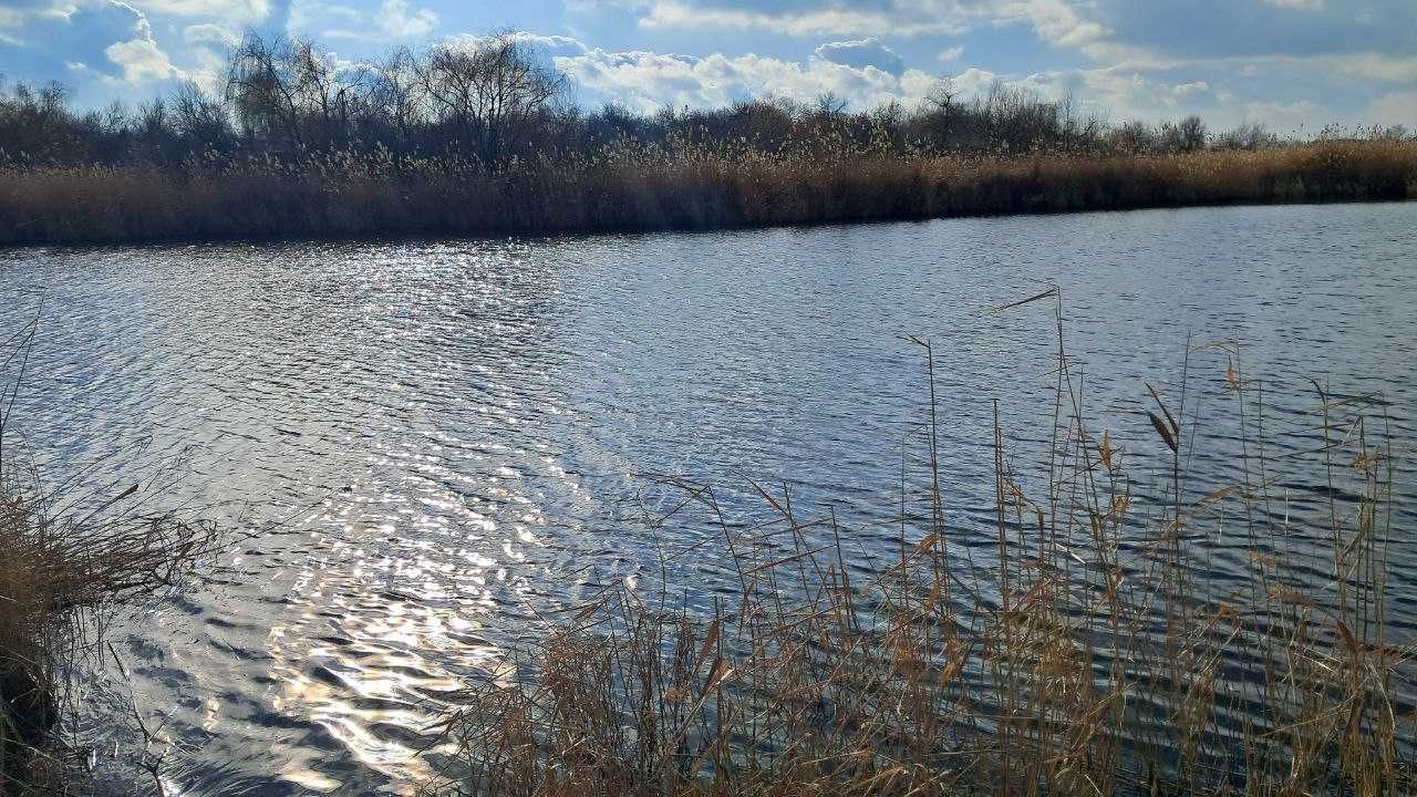 Продам ділянку в Підгородньому – 10 соток вашої мрії!