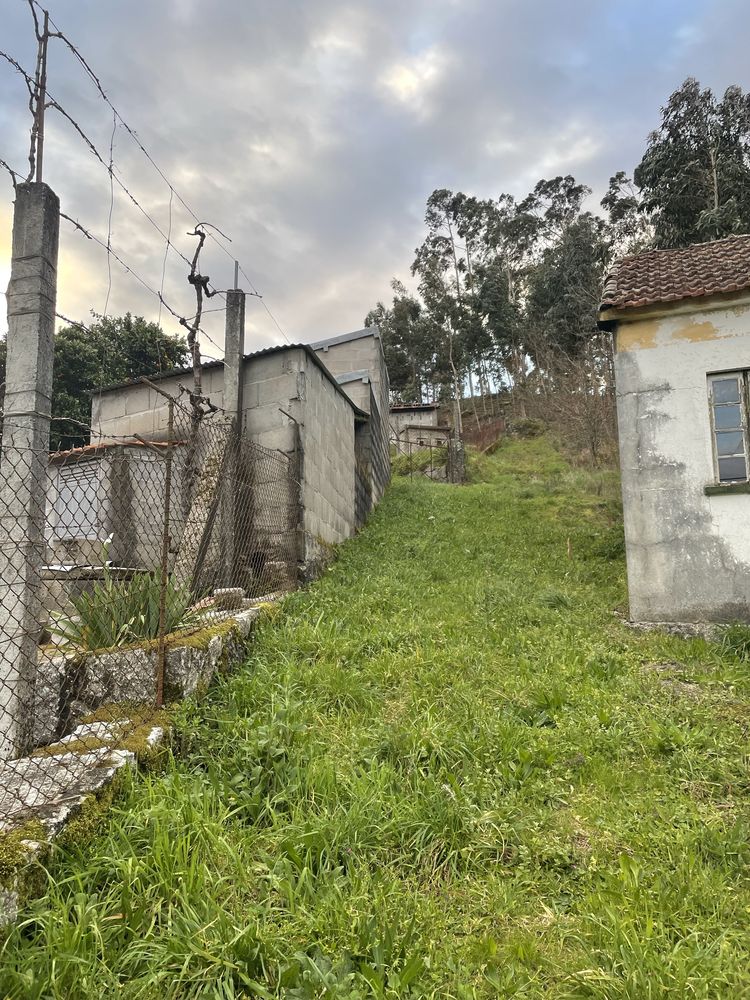 Terreno rustico