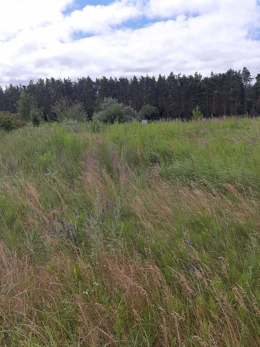 ! Кутовий 12 соток біля лісу з електрикою 5 кВт !!!