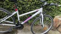 Rower  damski 26