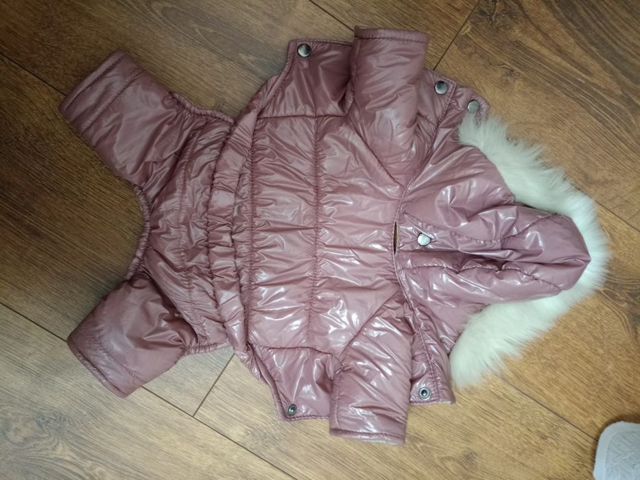 Комбінезон для песика