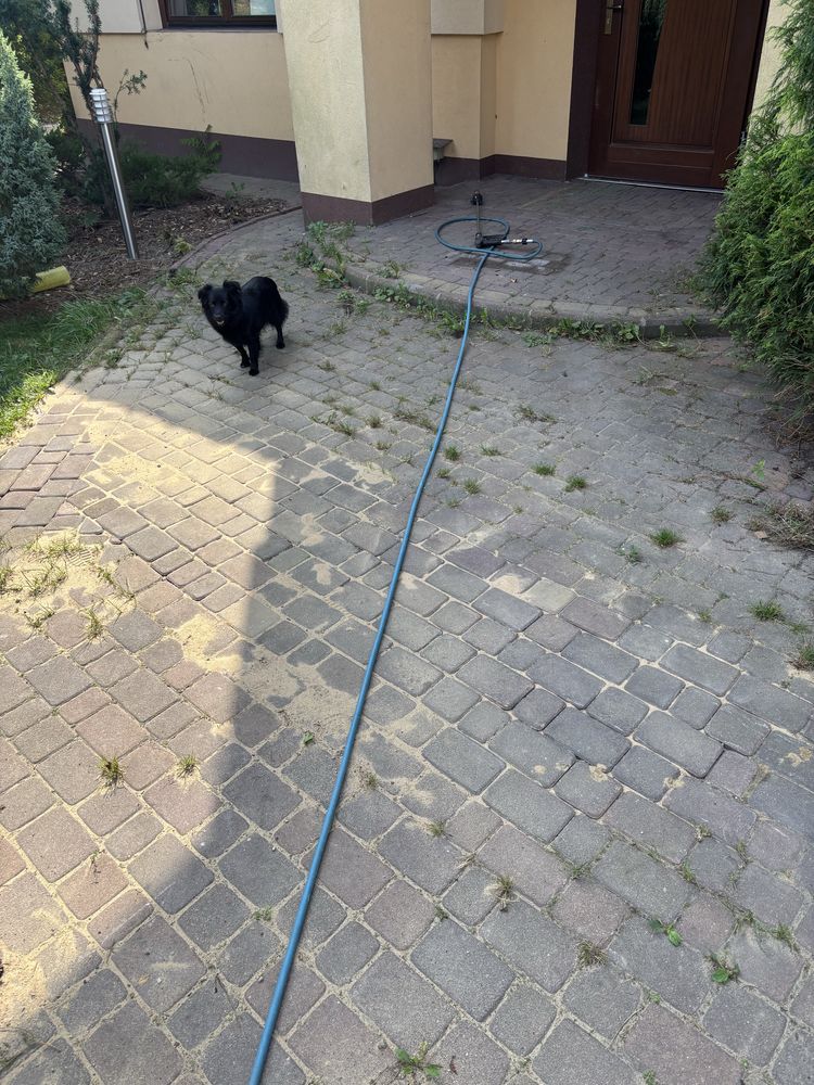 Mycie malowanie elewacji dachu w kostki Brukowej
