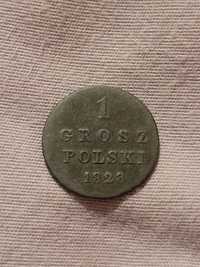 1 grosz polski 1828