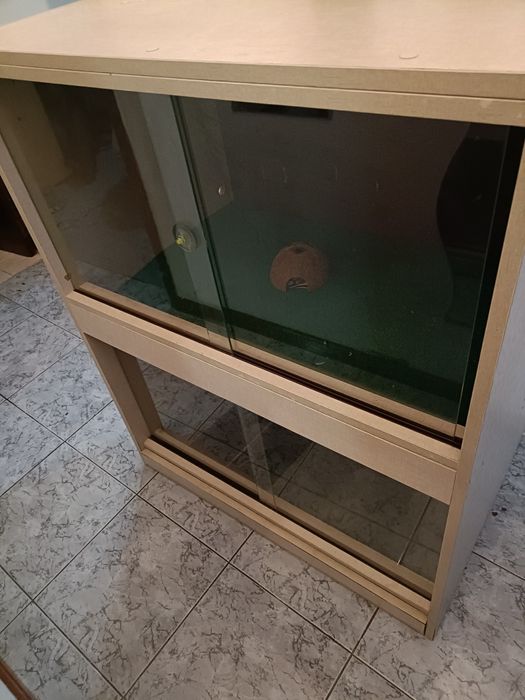 Terrário para repteis