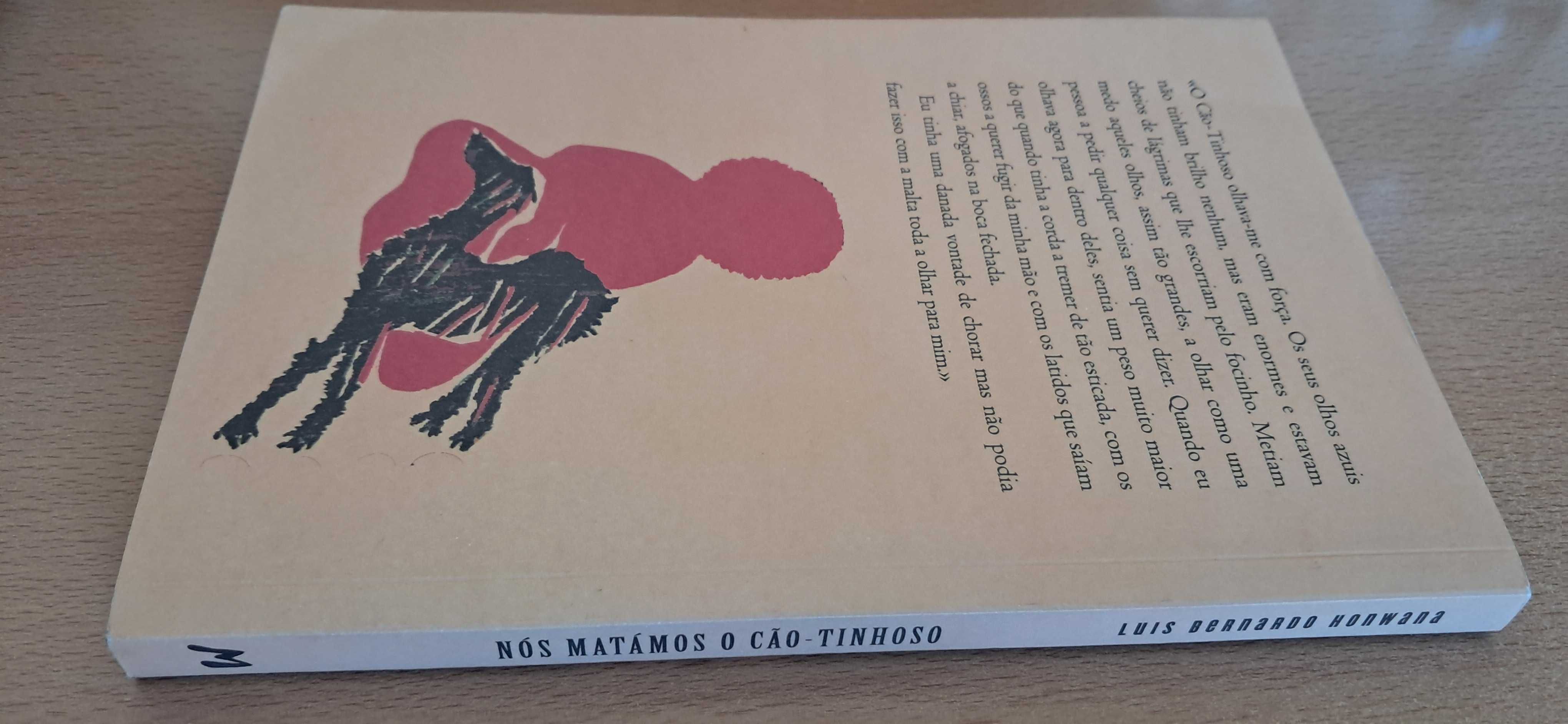 Luís Honwana - Nós matámos o cão-tinhoso