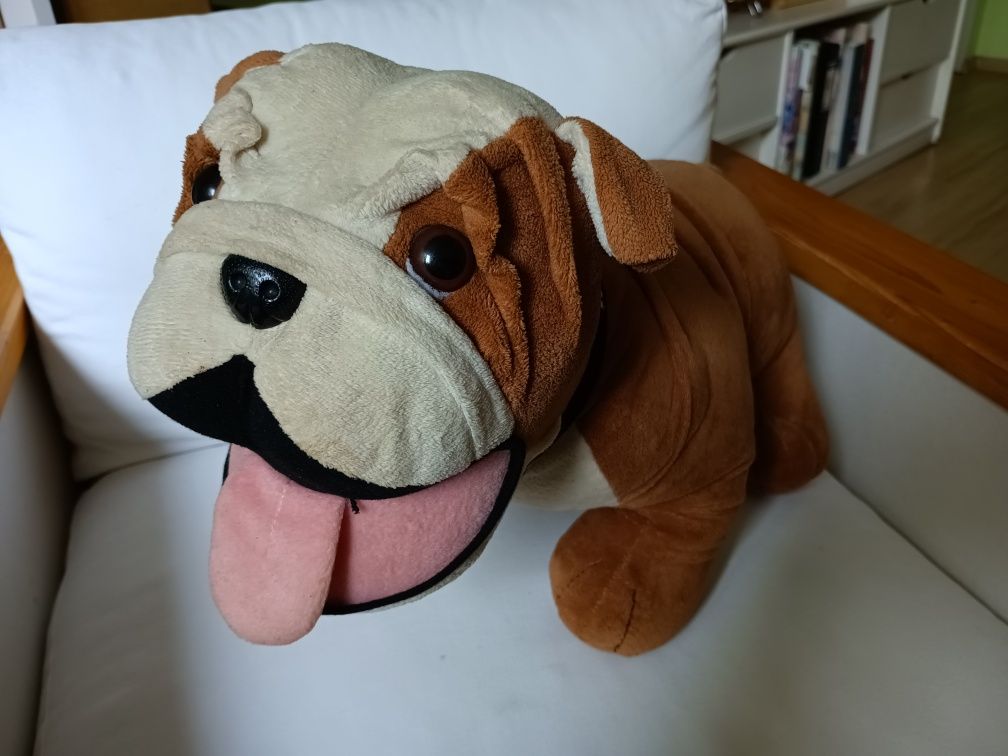 Pluszak Buldog z kolekcji Mini