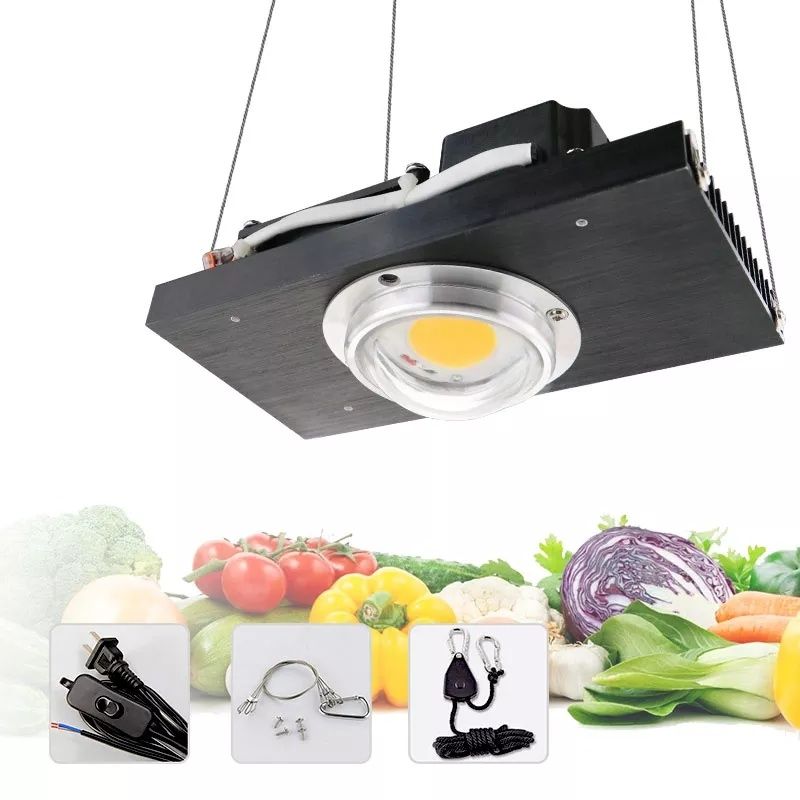 CREE CXB3590 COB 100W з підвісами. Фітолампа для рослин.