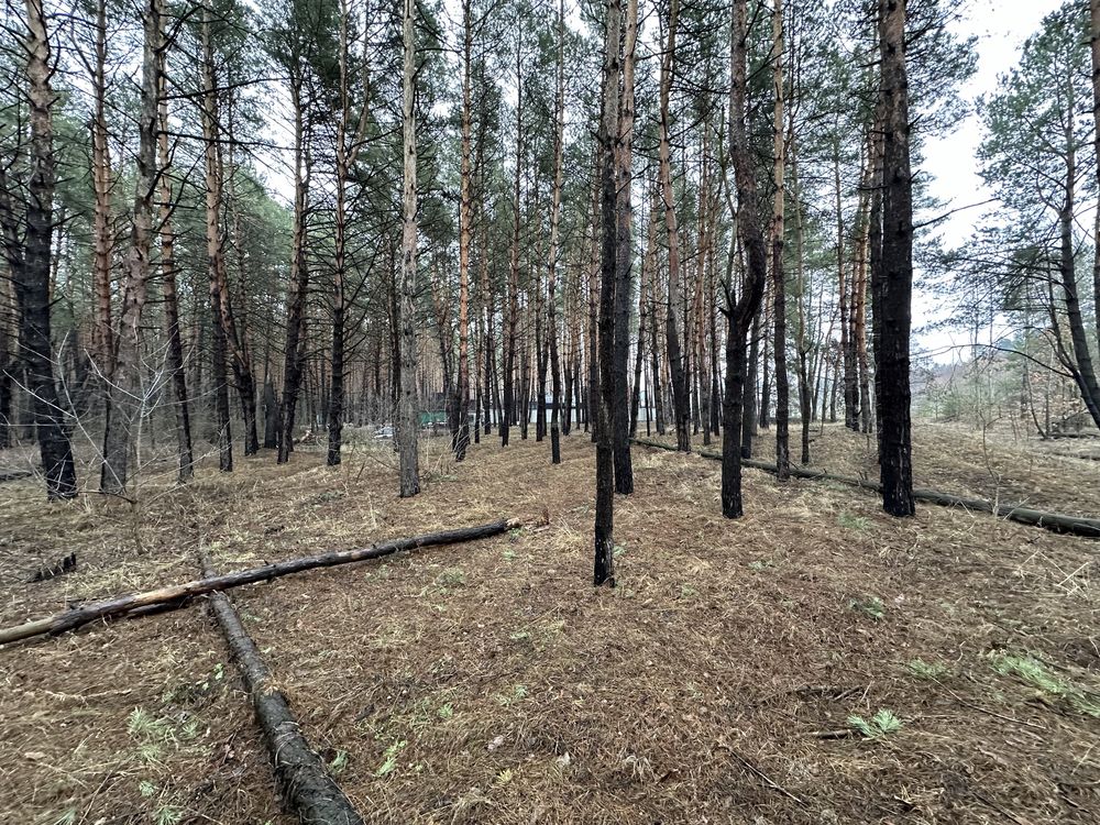 Ділянка з виходом на воду Дніпро, Стугна, с. Таценки Обухівський район