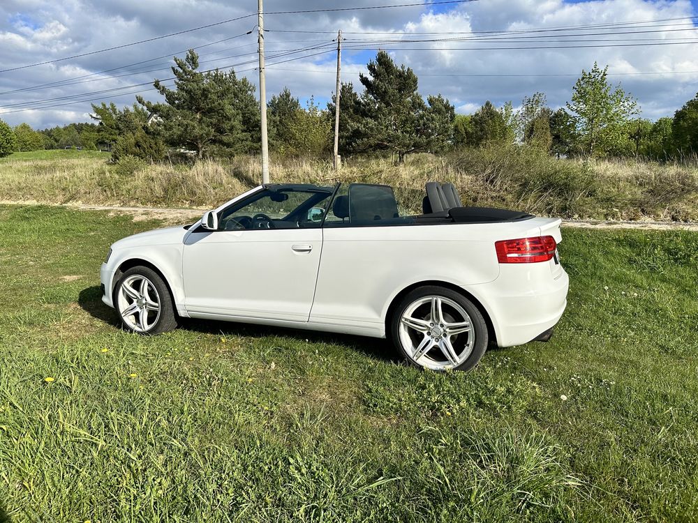 Audi A3 Cabrio Bezwypadkowa  Windshot