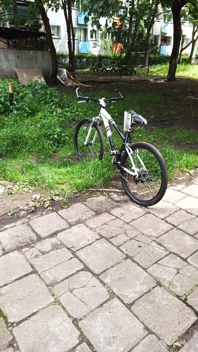 Rower męski, Wrocław