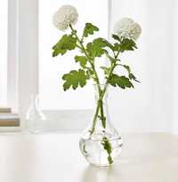 Szklany mały wazon