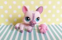 Littlest Pet Shop LPS unikatowy pies Corgi #1645