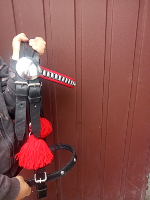 Uzda ogłowie kantar na konia