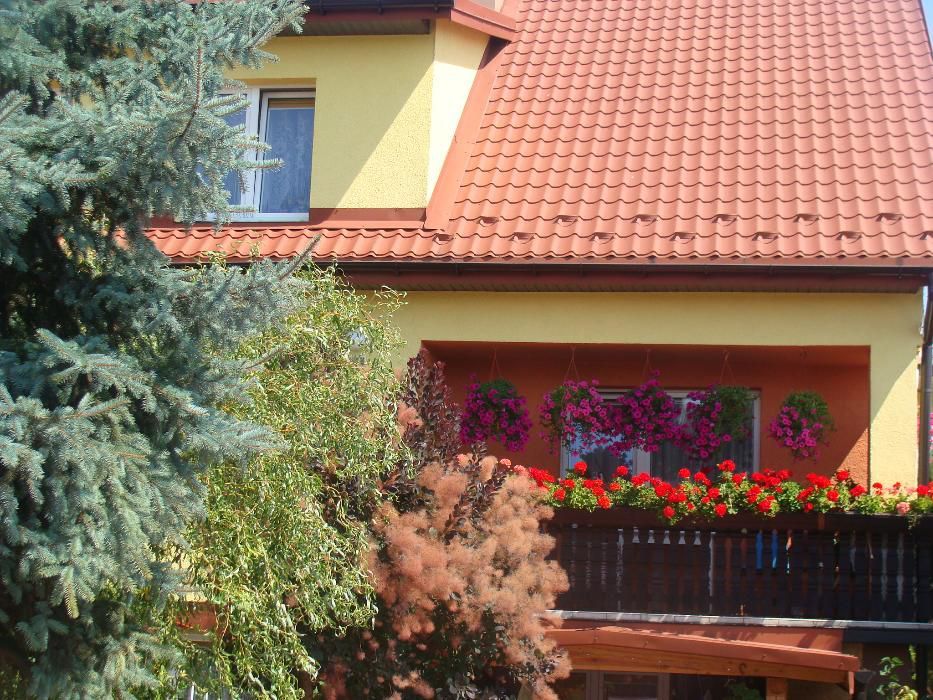 Noclegi tanio!! Kozienice/Pionki/Warszawa/Radom