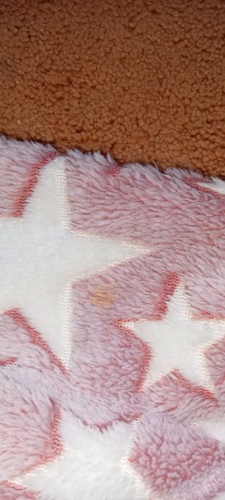 Ciepła damska bluza miś S/M