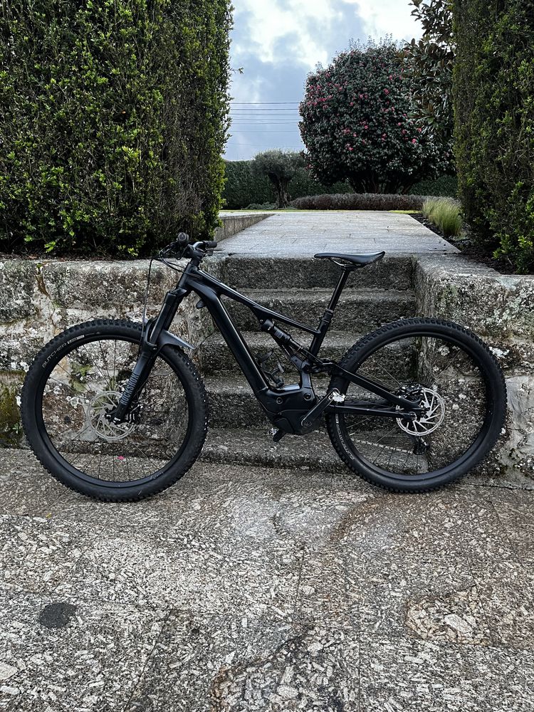Specialized turbo levo