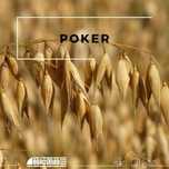 Sprzedam owies Poker zbiór 2025