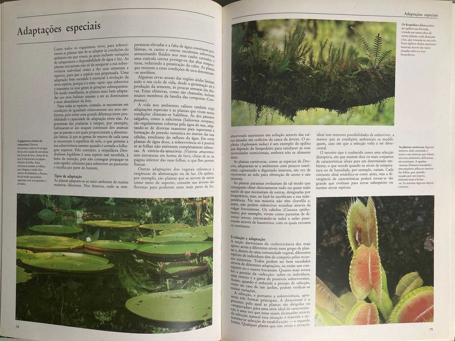 As Plantas: o génio da natureza