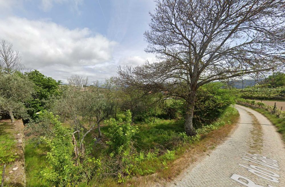 Quinta com 13.625 m² em Cepões - Lamego, junto à A24