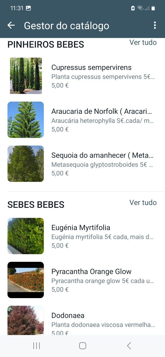 Plantas/Jardins/Utensílios