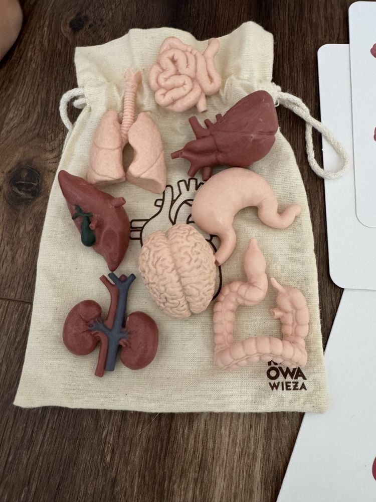 Karty, figurki ciało człowieka montessori