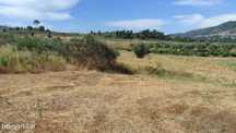 Quinta na Beira Alta (5 hectares) - Água Própria,  Excelentes Acessos