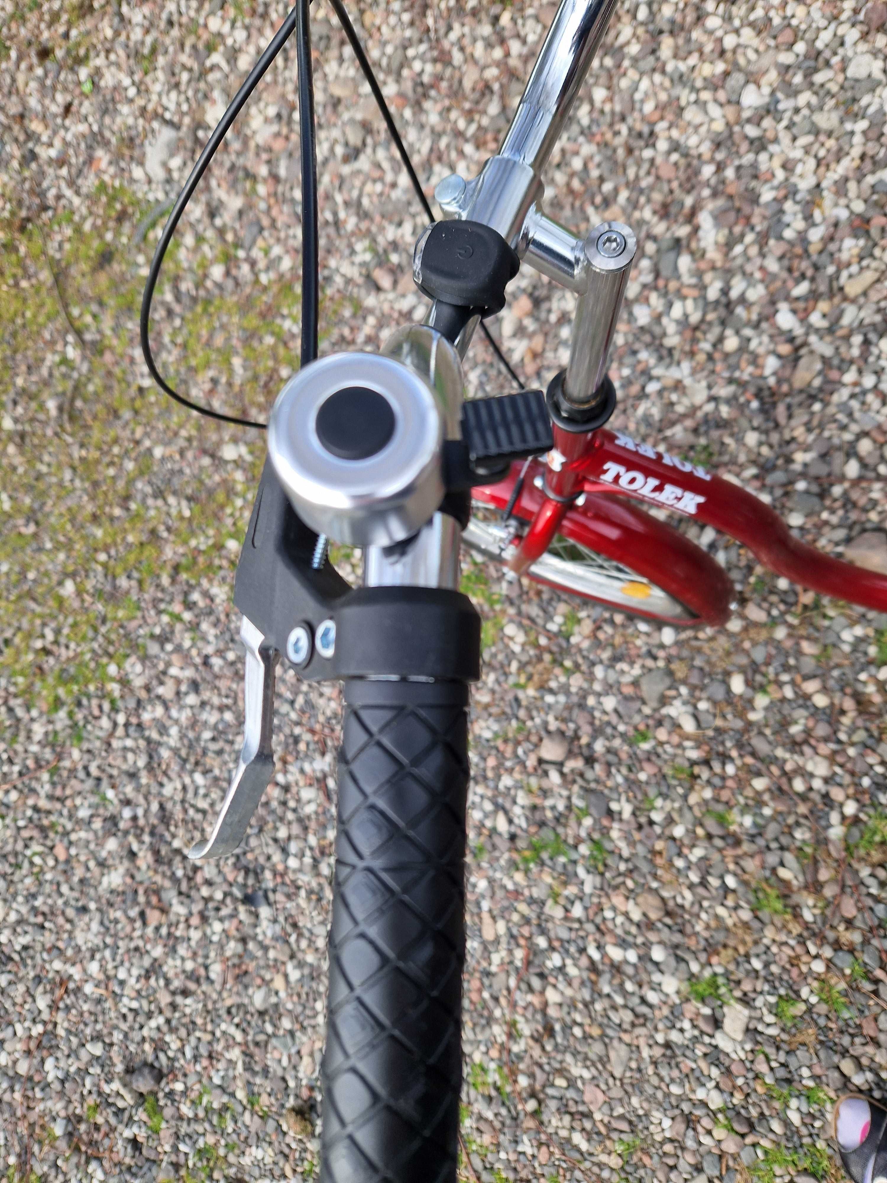 Tolek rower trójkołowy rehabilitacyjny
