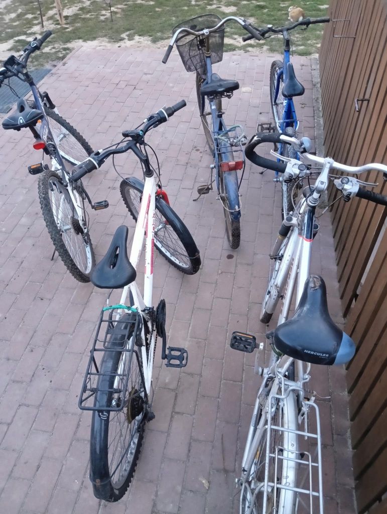 5 rowerów: górskie i damka