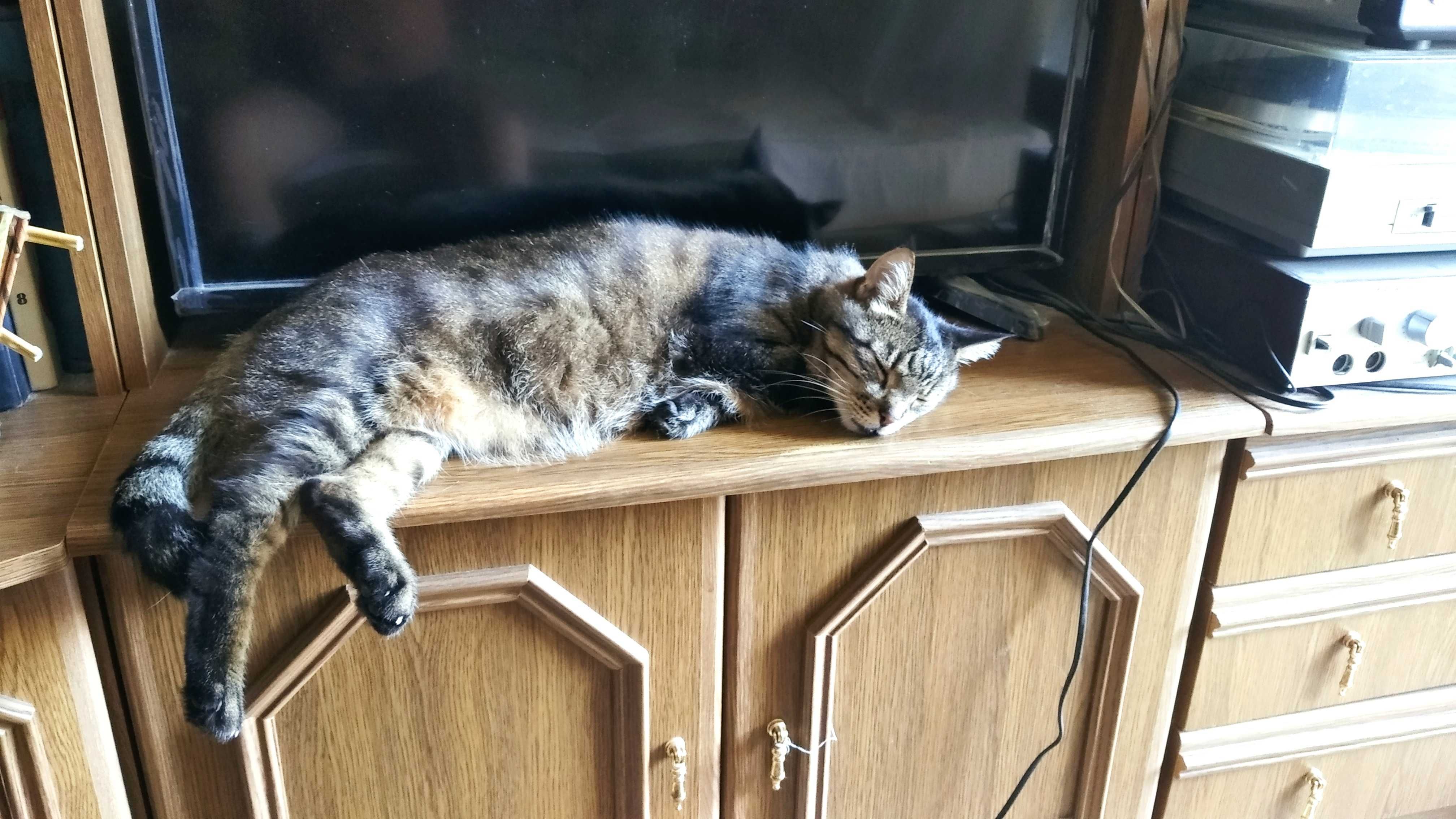 Мебель, стенка б у пр-ва Польша, 2 шкафа.