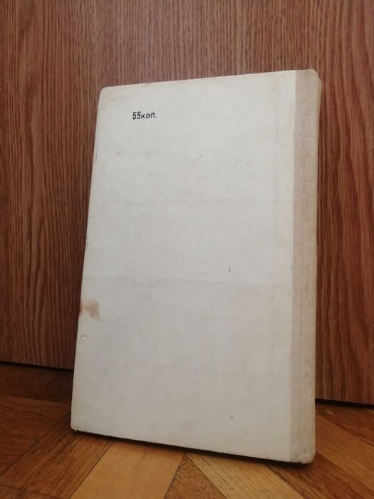 Г. Морозов, В. Ромасенко "Нервные и психические болезни"