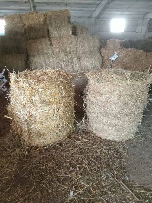 Тюки сіна соломи
