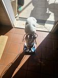 Aspirador profissional Rowenta , Clean & Steam